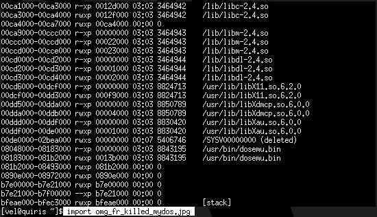 omg_fr_killed_mydos.jpg, 39 KB