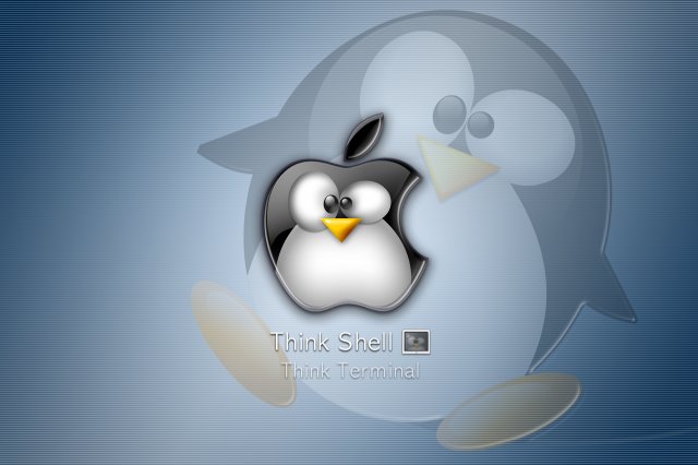 shell.jpg, 394 KB